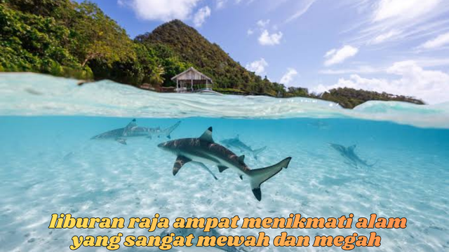 liburan
